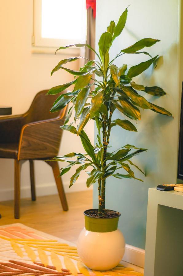 Bright Apartment Close To City Center Tiranë Eksteriør bilde